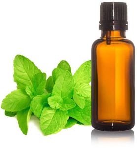 Mentha Spicata Oil