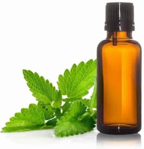 Spearmint Oil