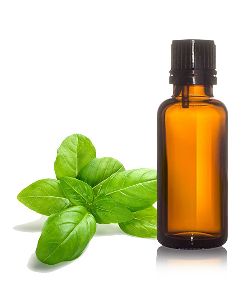 Sweet Basil Oil