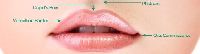 Perfect Lip Treatment Services