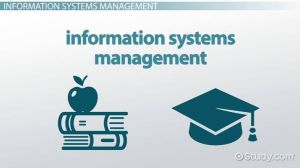 Management Information System Program