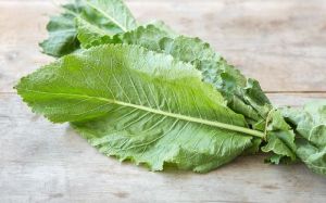 Moringa Leaves