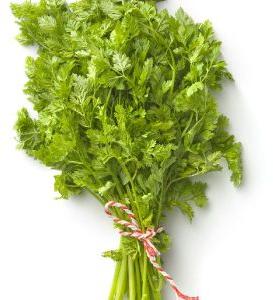 Parsley Leaves