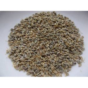 Coriander Seeds