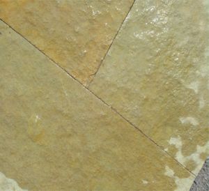 Tandoor Yellow Limestone