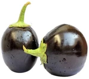 fresh round brinjal