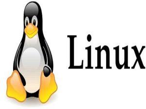 linux course