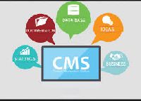 CMS Development