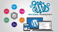 Wordpress Development