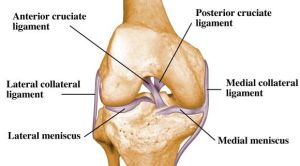 ACL Reconstruction Surgery