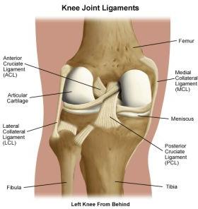 Ligaments Reconstruction Surgery