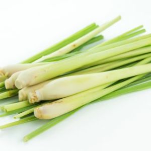 Lemongrass Leaves