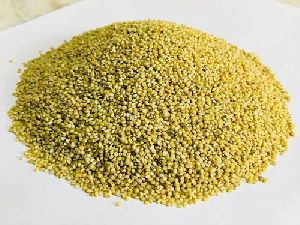 Brown top millet