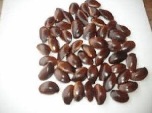 Udara Seeds