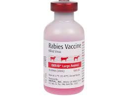 rabies vaccine