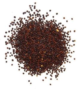 Mustard Seeds