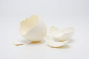 egg shell calcium