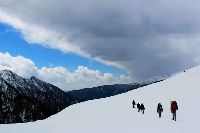 Kuari Pass Trekking Tour Packages