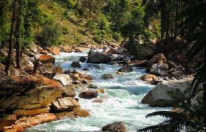 Rupin Pass Trekking Tour Packages