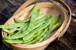 Garden Peas