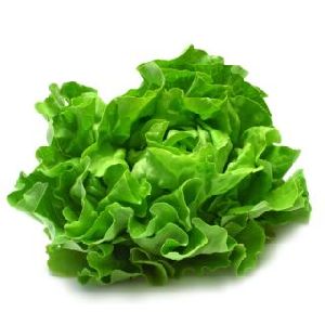 lettuce leaves