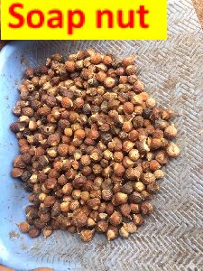 Dry Saop nut Natural