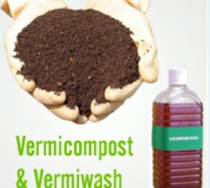 Vermiwash