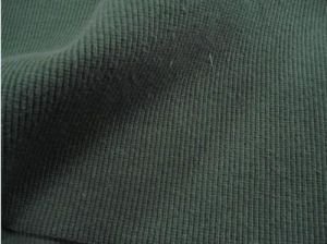 Single Jersey Fabric