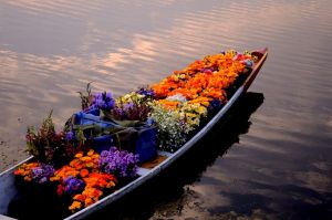 Kashmir Honeymoon 4 Nights 5 Days