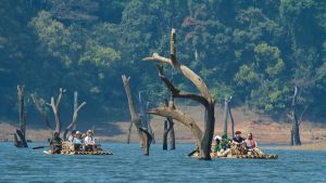 4nights 5days thekkady kerala honeymoon tour package