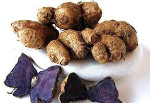 Black Turmeric