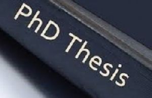 phd thesis writing services