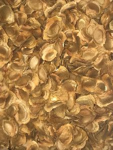 sandalwood seed