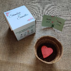 Plantable Seed Paper Wedding Gifts