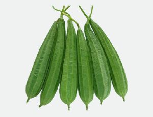 Fresh Ridge Gourd