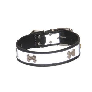 Nylon Designer Dog Belt