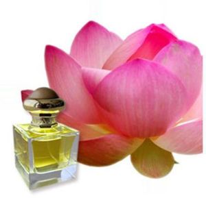 Pink Lotus Absolute Oil