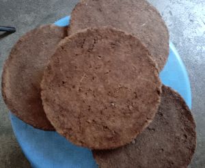 Cowdung Cake Plain