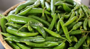 Fresh Green Chilli