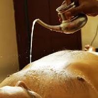 Danyamla Dhara Ayurvedic treatment Service