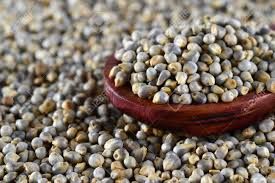 Pearl Millets