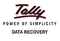 tally data recovery services