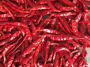 Dry Red Chilli