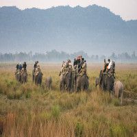 Kaziranga National Park Tour Packages