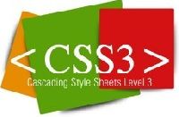 css3 training services