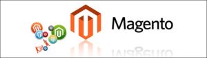 magento training services