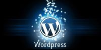 wordpress training services