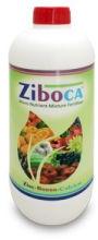 Ziboca Liquid