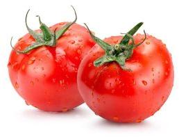 Fresh Tomato