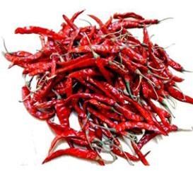 Teja Dry Red Chilli